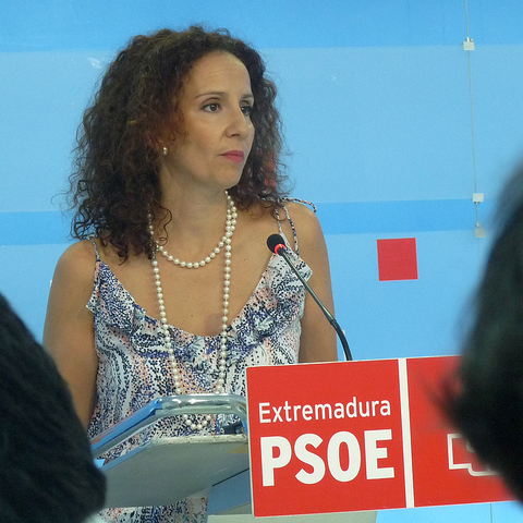 El PSOE propone limitar al 25% la cuota de mercado de las  operadora petroleras
