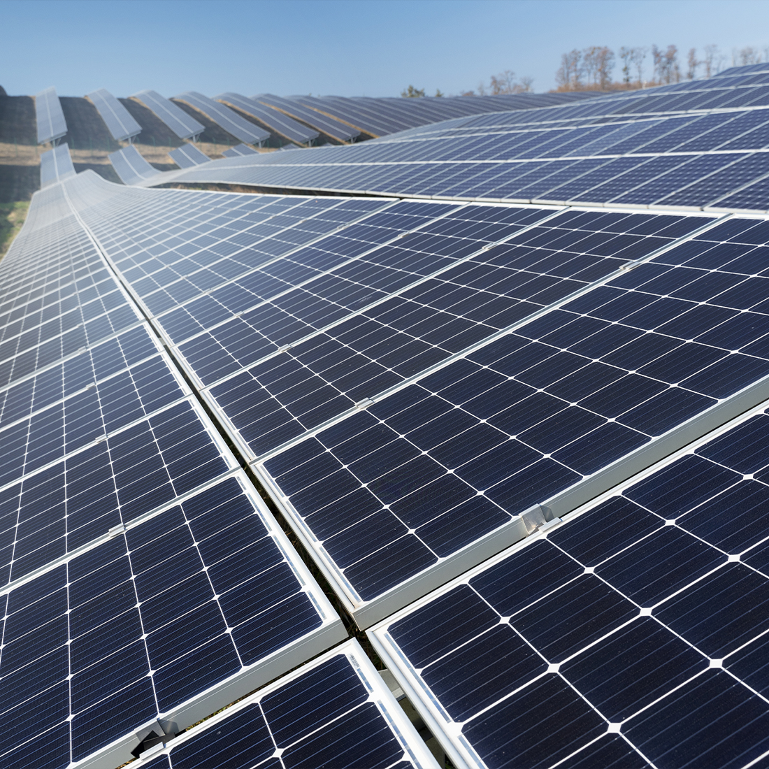 El sector de energías renovables ha solicitado a la UE que evite limitaciones en la instalación de paneles solares y turbinas eólicas por el nuevo Reglamento de Restauración de la Naturaleza.