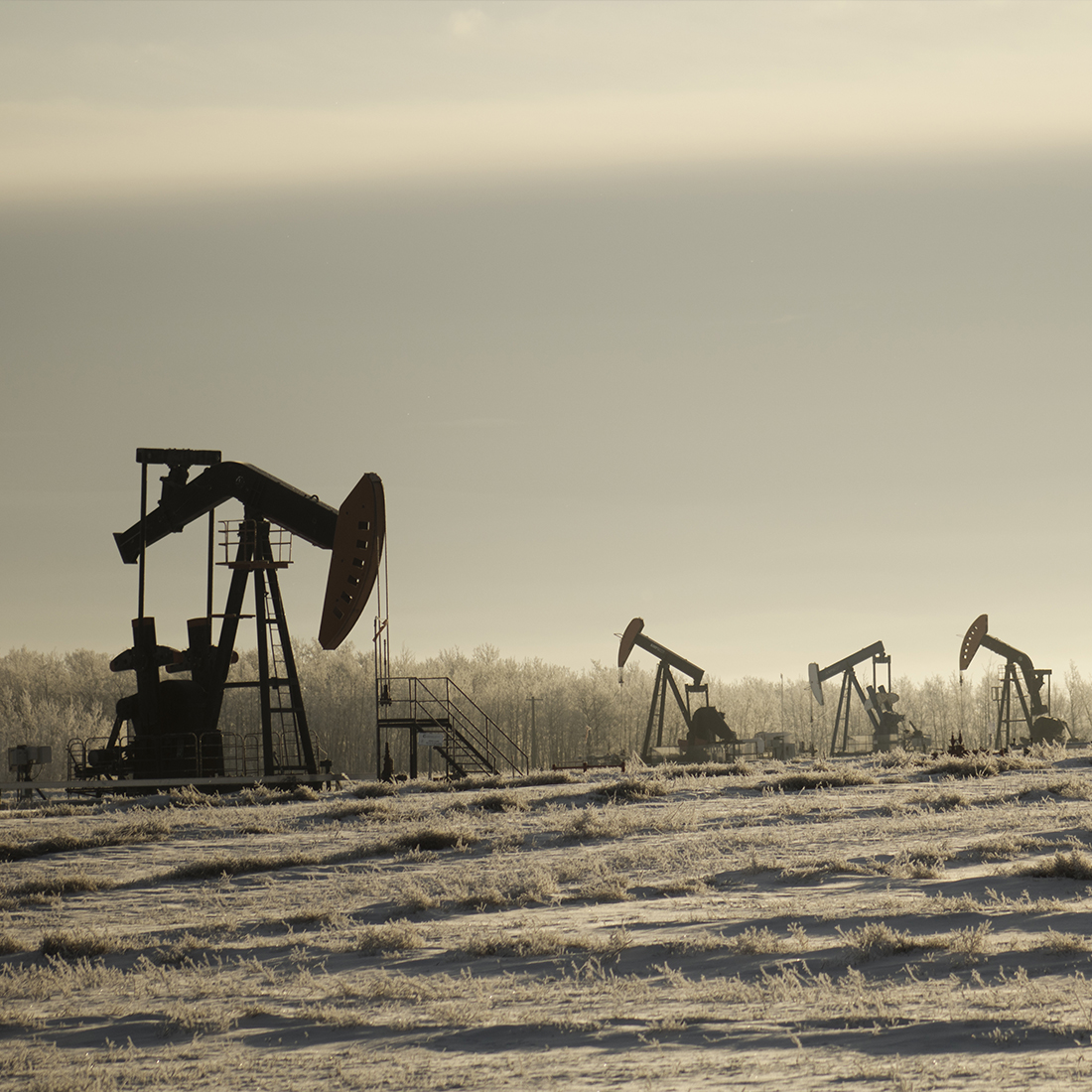 El Precio del Petróleo está en una Situación Crítica después de haber experimentado su mayor caída en cuatro meses